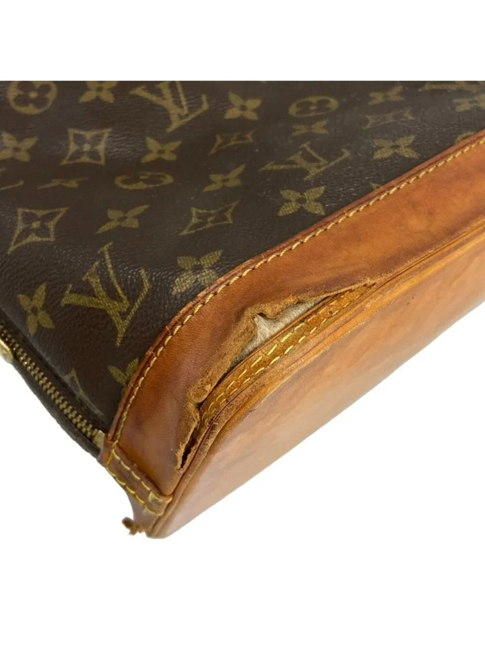 Louis Vuitton category handbag